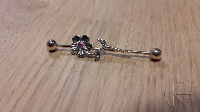 Kullast kõrvaneet rubiiniga